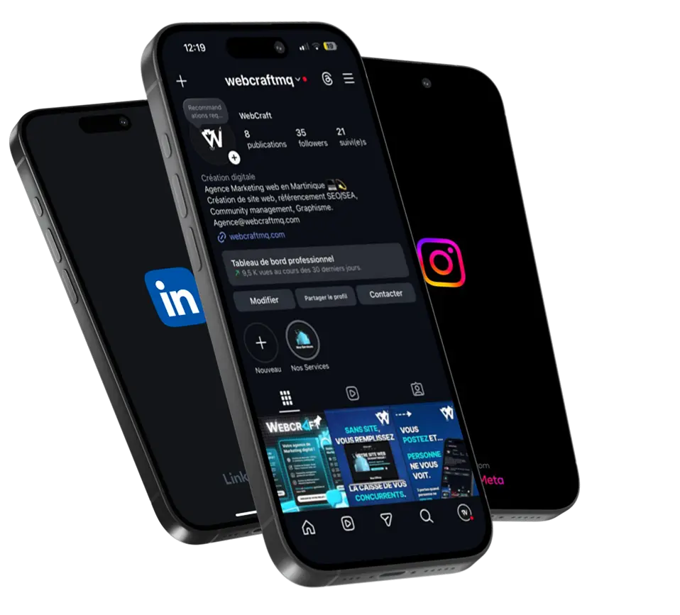 Gestion professionnelle des réseaux sociaux en Martinique